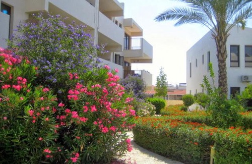 Mazotos Apartment | Cozy Apartment A01 at Mazatos Hills with Pool Access