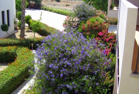 Mazotos Apartment | Cozy Apartment A01 at Mazatos Hills with Pool Access