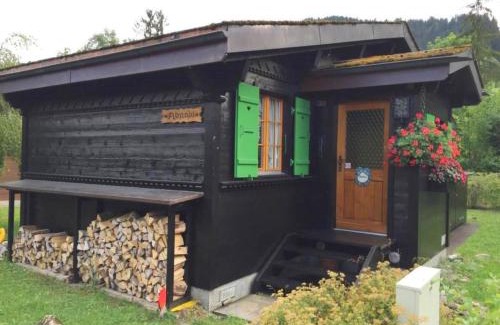 Saanen Apartment | Discover Apartment Abnaki - Family & Pet Friendly Retreat