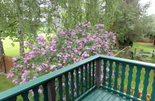 Lubkow Apartment | Family-Friendly Stay at Apartment Above - Landhaus Ulrich