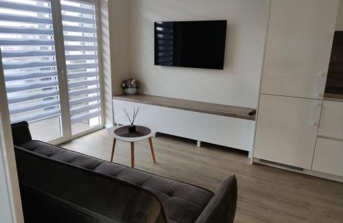 Panevezys Apartment | Top-Rated Family-Friendly Apartment Ainiai for Your Stay