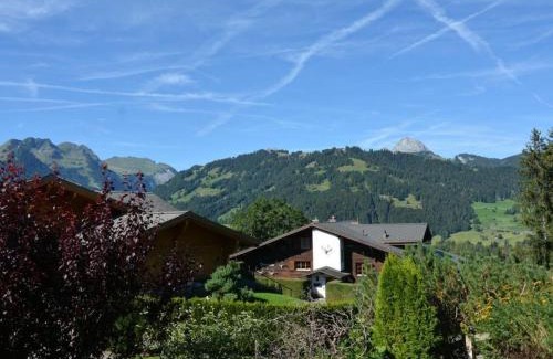Zweisimmen Nr Gstaad Apartment | Comfortable Apartment Alegria with Hot Tub & Pet-Friendly
