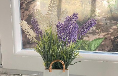Viconago Apartment | Pet-Friendly Apartment Alina: Your Family Retreat Awaits