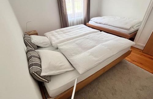Saas Grund Apartment | Experience Apartment Alpenrose: Family-Friendly Retreat