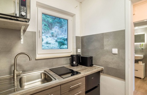 Bad Liebenzell Apartment | Elegant Apartment 'Am Hochwald Mit Burgblick' with Balcony