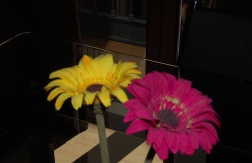 Old Town Baeza Apartment | Spacious Apartment for 8 with Pool - Stay in Baeza