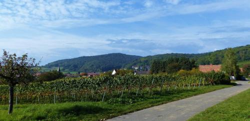 Oberotterbach Apartment | Experience Apartment An der Weinstraße with Ocean Views