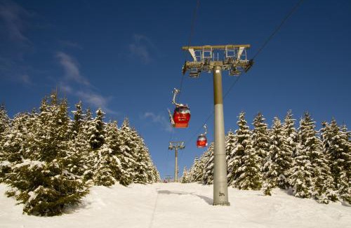 Braunlage Apartment | Newly Renovated Apartment by Wurmbergseilbahn, Family-Friendly