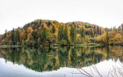 Seliste Dreznicko Apartment | Pet-Friendly Apartment Andreja with Hot Tub & Kitchen