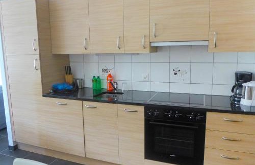 Moleson Apartment | Pet-Friendly Apartment Andromède-3 with Great Guest Ratings