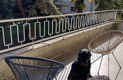 Roseraie - Orgemont Apartment | Discover Apartment ANGERS: Family & Pet-Friendly Retreat