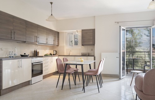 Kefalonia Apartment | Apartment 'Ardavani City 4' with Shared Terrace, Shared Garden and Air Conditioning