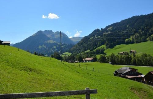 Zweisimmen Nr Gstaad Apartment | Pet-Friendly Retreat: Apartment Arduus by Interhome