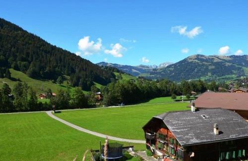 Zweisimmen Nr Gstaad Apartment | Pet-Friendly Retreat: Apartment Arduus by Interhome