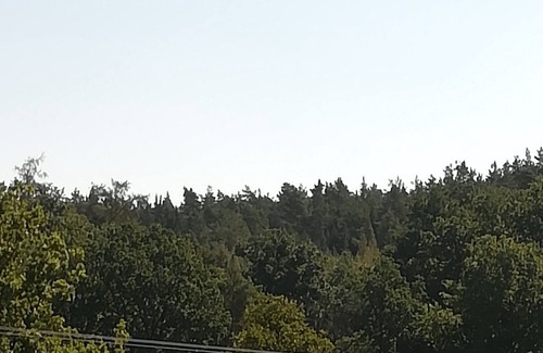 Herrieden Apartment | APARTMENT AT THE EDGE OF THE FOREST
