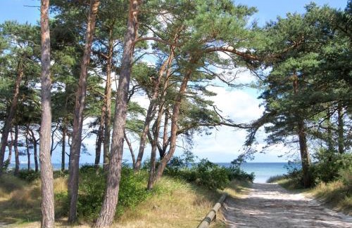 Balka Apartment | Discover Apartment Atena - Steps from the Sea in Bornholm