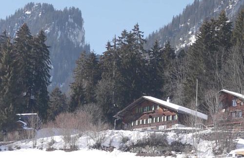 Oberwil im Simmental Apartment | Family-Friendly Apartment Auf der Mauer by Interhome