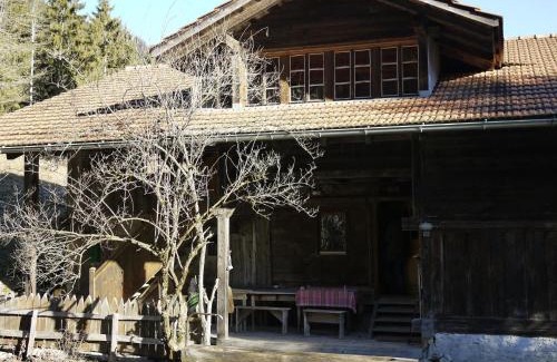 Oberwil im Simmental Apartment | Family-Friendly Apartment Auf der Mauer by Interhome