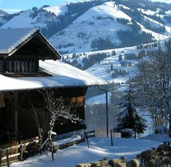 Oberwil im Simmental Apartment | Family-Friendly Apartment Auf der Mauer by Interhome