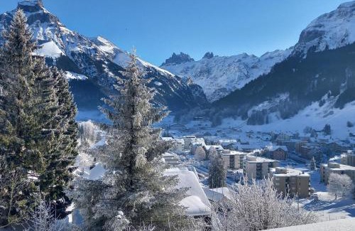 Engelberg Apartment | Family-Friendly Apartment Aurora by Interhome