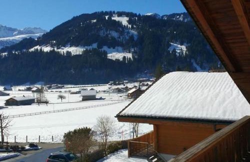 Lenk Apartment | Cozy Apartment Bärnermutz #2 - Pet & Child Friendly Stay