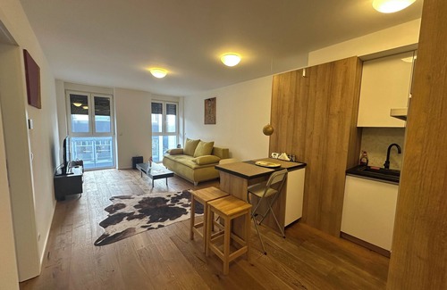 Favoriten Apartment | Apartment Beauty Erlachgasse - newly adapted apartment next to the pedestrian zone