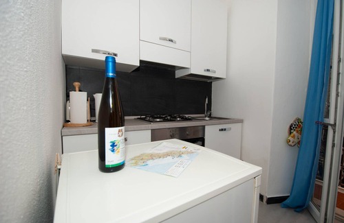 Manarola Apartment | Elegant Apartment Belvedere in Manarola - Pet Friendly & Cozy