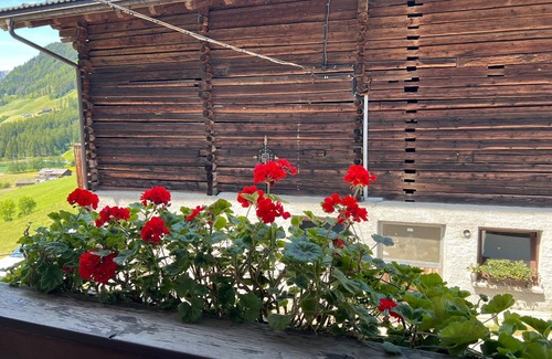San Giacomo Apartment | Apartment 'Bergkristall 2' with Mountain View, Shared Garden and Wi-Fi