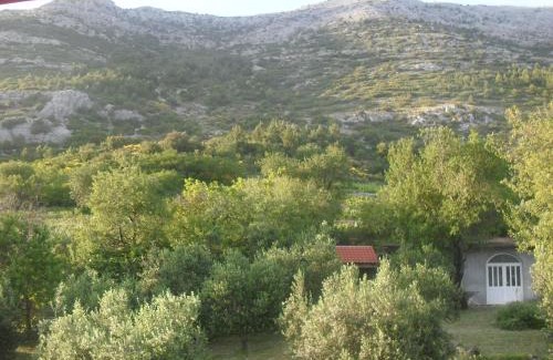 Kuciste Apartment | Top-Rated Apartment Bogoje: Pet & Child Friendly Getaway