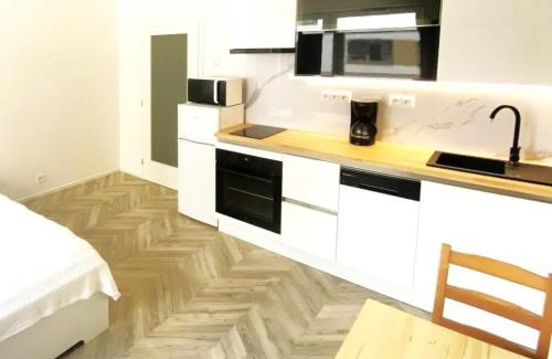 Brno-stred Apartment | Apartment Brno Center
