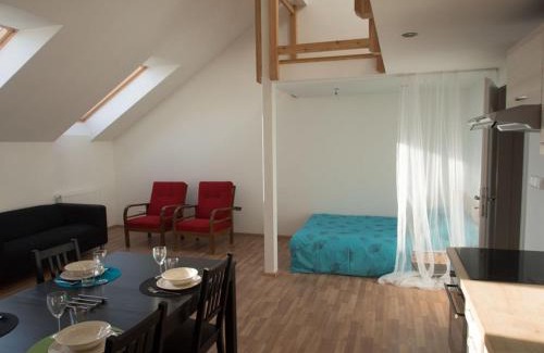Brno Apartment | Pet-Friendly Apartment Brno Reissigova with High Ratings