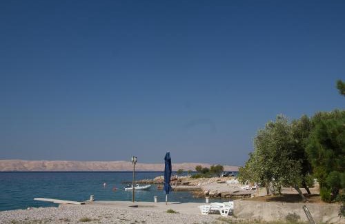 Cesarica Apartment | Oceanfront Apartment Camelia with Pool & Amazing Views