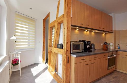 Zella-Mehlis Apartment | Family-Friendly Apartment Carola with Pet Amenities