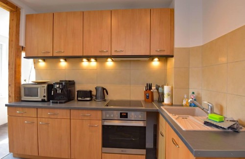 Zella-Mehlis Apartment | Cozy Apartment Carola: Pet Friendly with Spa & Breakfast