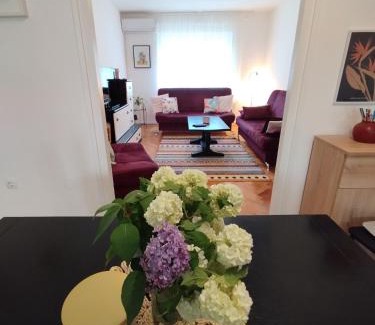 Cove Parja Apartment | Apartment "Central Sun" with Balcony and Park View