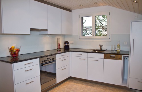 Hasliberg Wasserwendi Apartment | Scenic Apartment with Panoramic Mountain and Lake Views