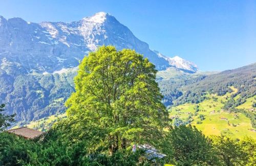 Grindelwald Apartment | Inviting Apartment Chalet Hobelbank - Pet & Child Friendly