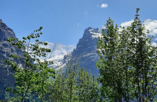 Grindelwald Apartment | Family-Friendly Apartment Chalet zur Höhe with High Ratings