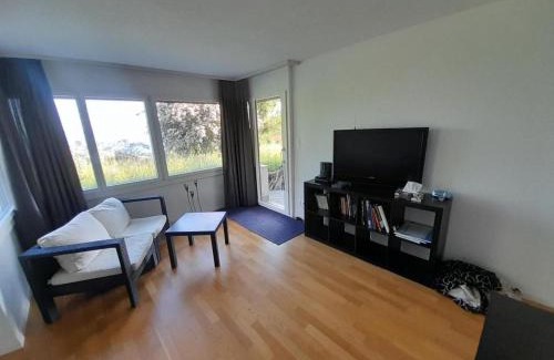 Aeschi bei Spiez Apartment | Apartment Chilis Ferienresidenz by Interhome
