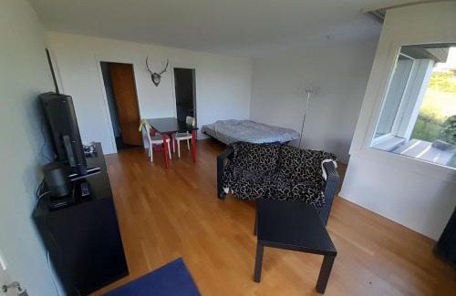 Aeschi bei Spiez Apartment | Apartment Chilis Ferienresidenz by Interhome