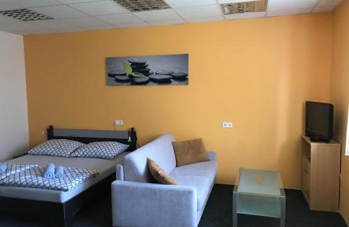 Usti nad Orlici Apartment | Pet-Friendly Apartment Corriger with 9.5/10 Guest Rating