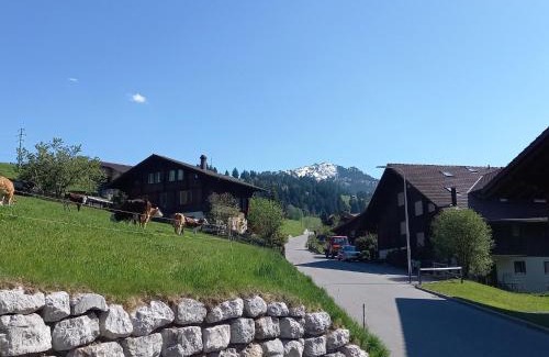 Zweisimmen Apartment | Family-Friendly Apartment Crocus by Interhome Awaits You
