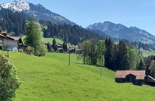 Zweisimmen Apartment | Family-Friendly Apartment Crocus by Interhome Awaits You