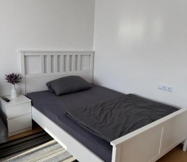 Leinfelden-Echterdingen House | Comfortable Stay at Apartment 6 near Stuttgart Airport