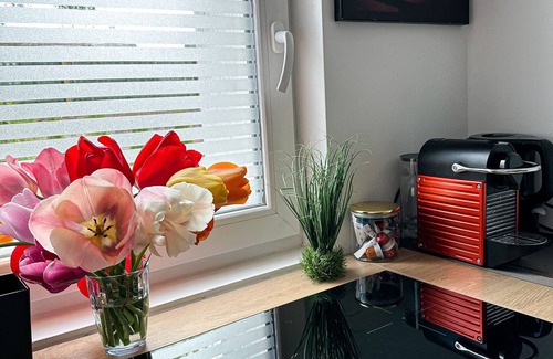 Duisburg Sud Apartment | Deluxe Apartment with Terrace, Ocean View & Shared Amenities
