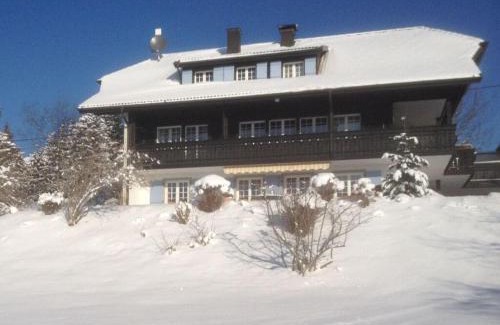Hoechenschwand Apartment | Deluxe Suite Apartment: Perfect for Family Getaways