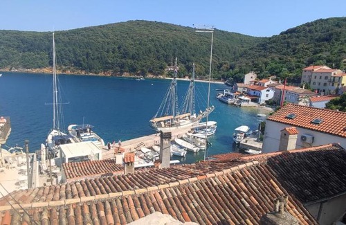 Valun Apartment | Pet Friendly Apartment Desanti Valun - Rated 9.7/10