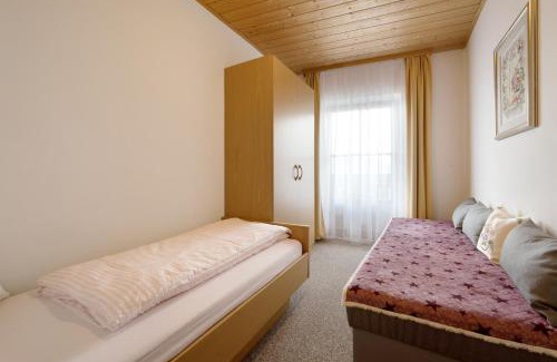 Spinga Apartment | Discover Apartment Dolomitenblick: Pet and Child Friendly Stay