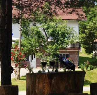 Ostarski Stanovi Apartment | Oceanfront Apartment Drago: Guest Rated 9.5/10