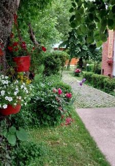 Kolasin Apartment | Family-Friendly Stay at Apartment Dulovine | 9.2/10 Rating